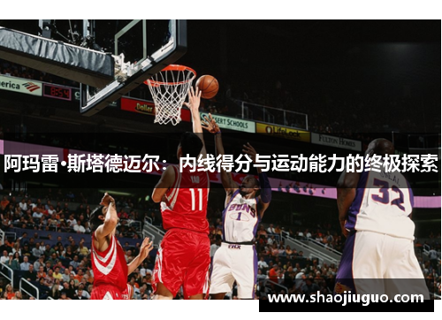 阿玛雷·斯塔德迈尔：内线得分与运动能力的终极探索