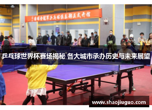 乒乓球世界杯赛场揭秘 各大城市承办历史与未来展望