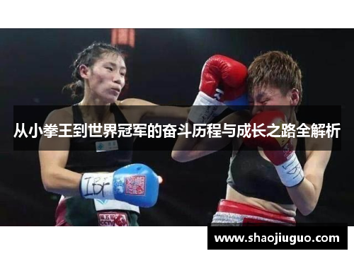 从小拳王到世界冠军的奋斗历程与成长之路全解析