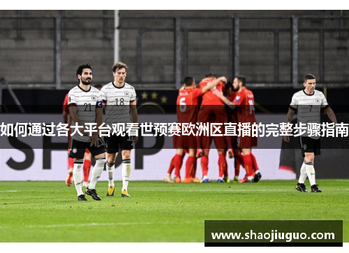 如何通过各大平台观看世预赛欧洲区直播的完整步骤指南