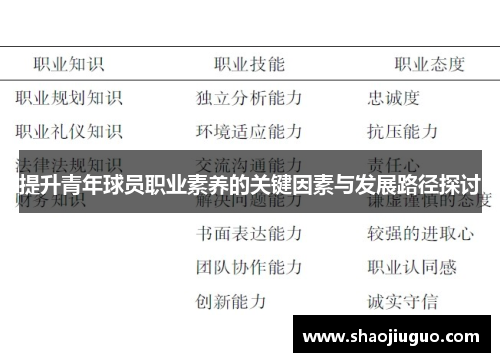 提升青年球员职业素养的关键因素与发展路径探讨