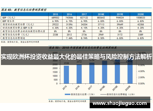 实现欧洲杯投资收益最大化的最佳策略与风险控制方法解析