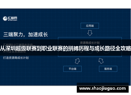 从深圳超级联赛到职业联赛的拼搏历程与成长路径全攻略